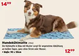 Salzburger Lagerhaus Hundekühlmatte Angebot