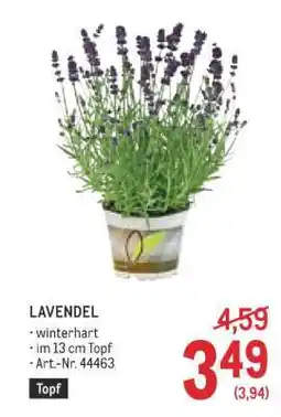 Metro LAVENDEL Angebot