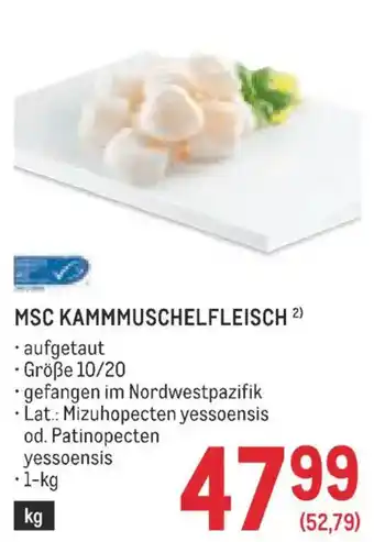 Metro Msc kammmuschelfleisch Angebot