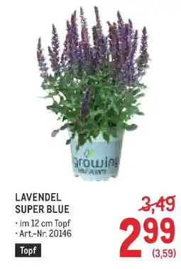 Metro Lavendel super blue Angebot