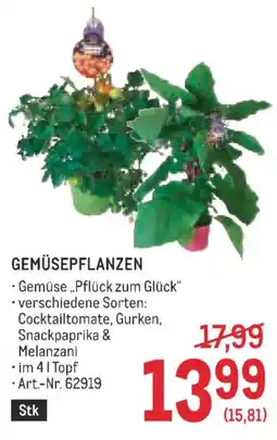 Metro Gemüsepflanzen Angebot