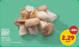 PENNY Kräuter seitlinge Angebot