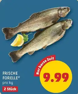 PENNY Frische forelle Angebot