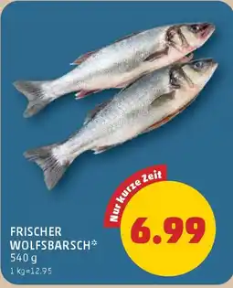 PENNY Frischer wolfsbarsch Angebot