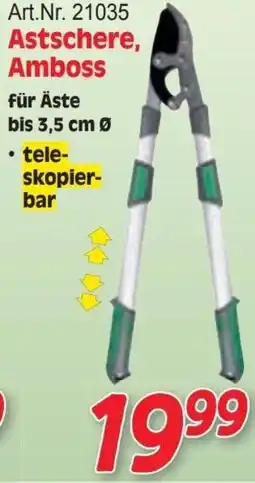 Zgonc Art.Nr. 21035 Astschere, Amboss Angebot