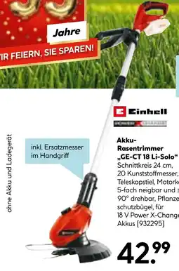 Hellweg Akku- Rasentrimmer GE-CT 18 Li-Solo Angebot