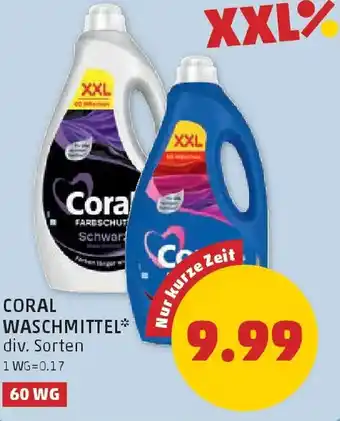 PENNY Coral waschmittel Angebot
