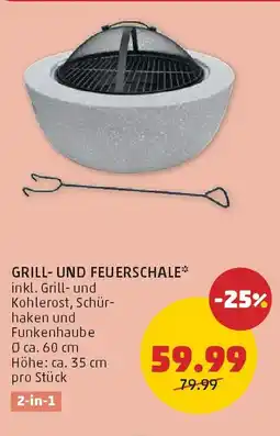 PENNY Grill- und feuerschale Angebot