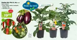 Salzburger Lagerhaus Gemüse Mix Pick & Joy Angebot
