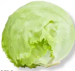 MPreis Bio vom Berg Eissalat Angebot