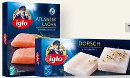 MPreis Iglo Premium Atlantik Lachs Angebot