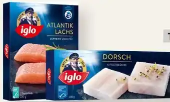 MPreis Iglo Premium Atlantik Lachs Angebot
