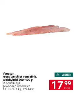 Transgourmet Vonatur rotes Welsfilet vom afrik. Welshybrid Angebot