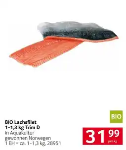 Transgourmet BIO Lachsfilet Trim D Angebot