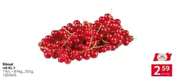 Transgourmet Ribisel rot KL.1 Angebot