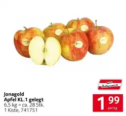 Transgourmet Jonagold Apfel KL.1 gelegt Angebot