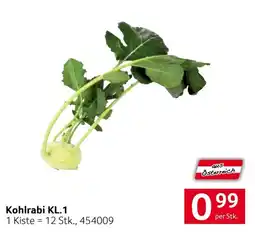 Transgourmet Kohlrabi KL.1 Angebot