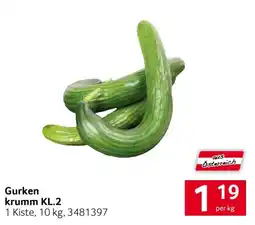 Transgourmet Gurken krumm KL.2 Angebot