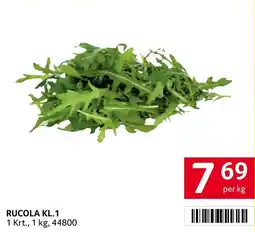 Transgourmet Rucola kl.1 Angebot