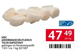 Transgourmet Msc jakobsmuschelfleisch 10/20 aufgetaut Angebot