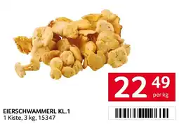 Transgourmet Eierschwammerl Angebot
