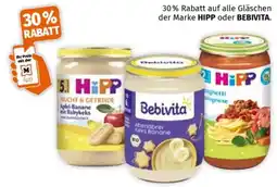 Müller Hipp oder bebivita Angebot