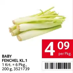 Transgourmet Baby fenchel Angebot