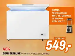 Expert GEFRIERTRUHE Angebot