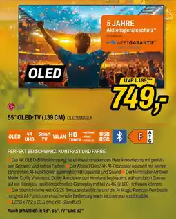Expert 55" oled-tv (139 cm) oled55b59la Angebot