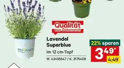 Lagerhaus Lavendel Superblue Angebot