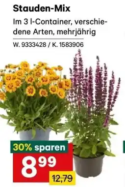 Lagerhaus Stauden-Mix Angebot