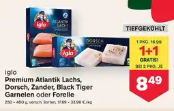 MPreis Iglo premium atlantik lachs, dorsch, zander, black tiger garnelen oder forelle Angebot