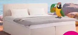 Mömax Boxspringbett Rossa Angebot