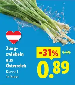 Lidl Jung- zwiebeln aus Österreich Angebot