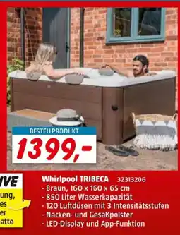 Bauhaus Whirlpool tribeca Angebot