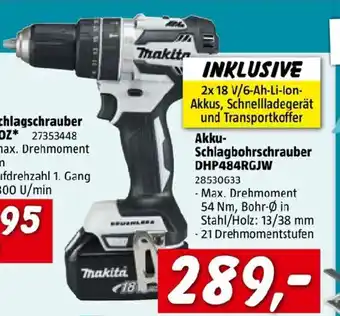 Bauhaus Akku- Schlagbohrschrauber DHP484RGJW Angebot