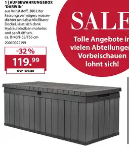 Dehner Aufbewahrungsbox 'darwin' Angebot