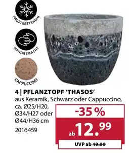 Dehner Pflanztopf 'thasos' Angebot