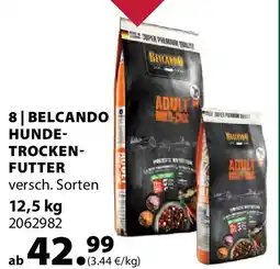 Dehner Belcando hunde- trocken- futter Angebot