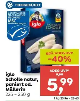 ADEG iglo Scholle natur, paniert od. Müllerin Angebot
