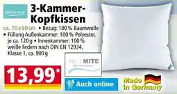 Norma 3-Kammer- Kopfkissen Angebot