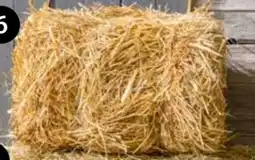 Dehner Dehner Lieblinge Strohballen Angebot