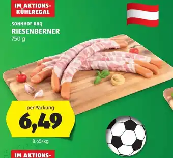 Hofer Sonnhof bbq riesenberner Angebot