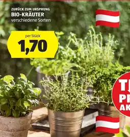 Hofer Zurück zum ursprung bio-kräuter Angebot