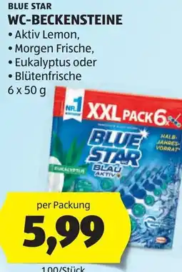 Hofer Blue star wc-beckensteine Angebot