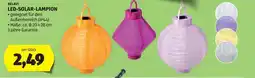 Hofer Belavi led-solar-lampion Angebot