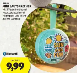 Hofer Bauhn mini lautsprecher Angebot