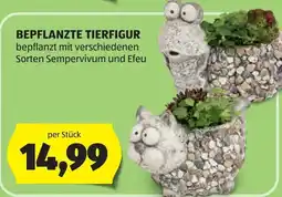 Hofer Bepflanzte tierfigur Angebot