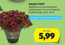 Hofer Basalt-topf Angebot
