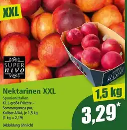 Norma Nektarinen XXL Angebot